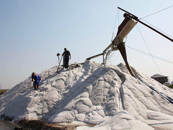 工業鹽制取實景